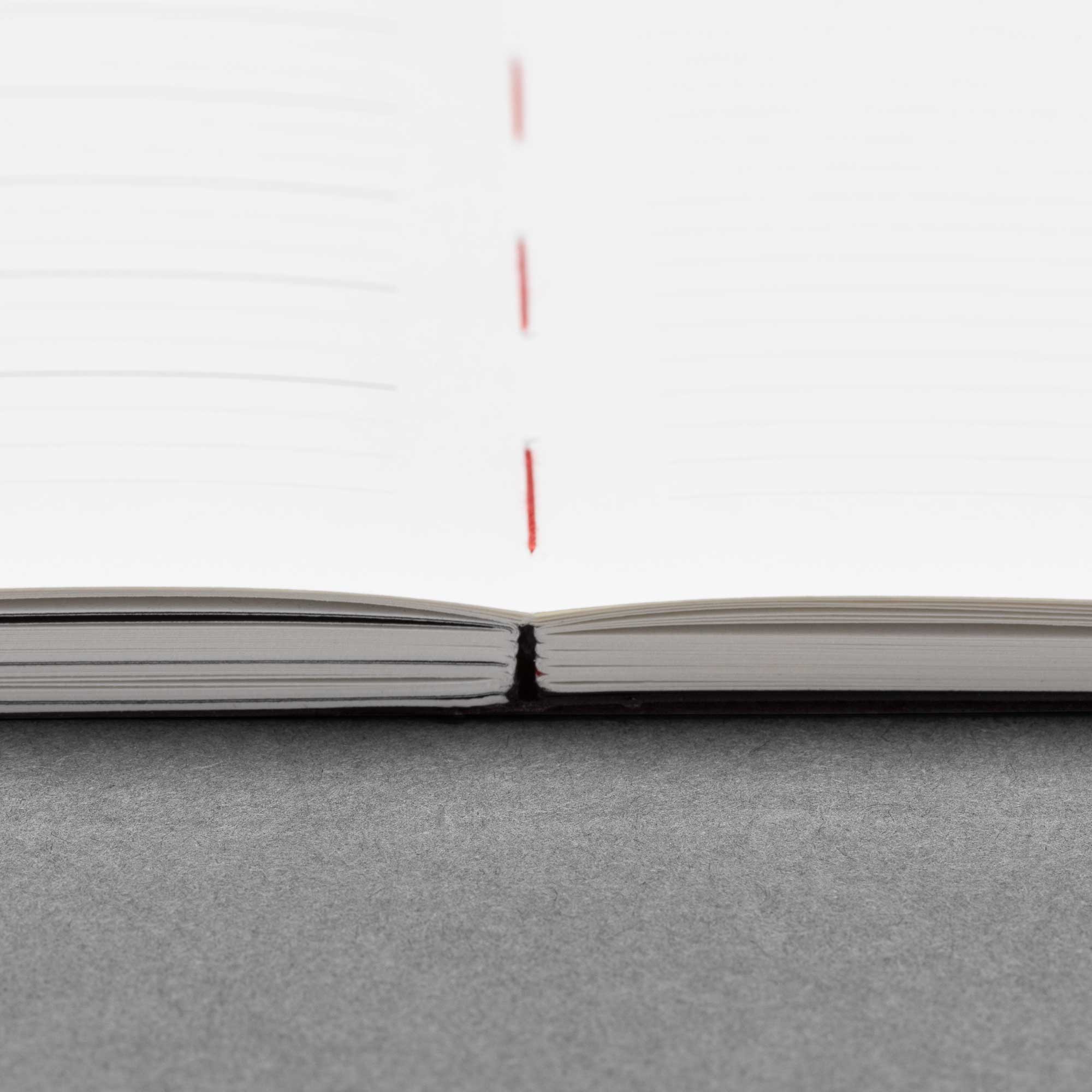 Light Journal Study Journals: 3-in-1 Light and Life Study Journal – Types & Symbols